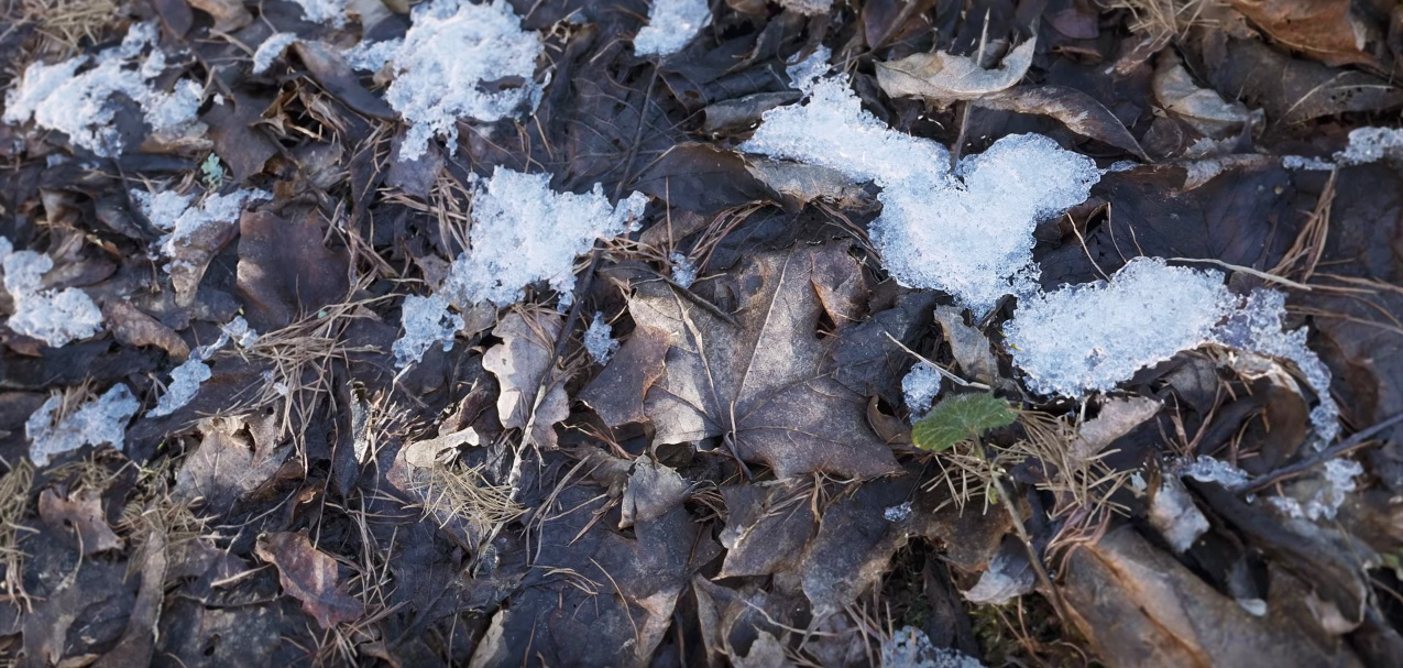 Unreal Engine 4 – Unglaubliche realistische Grafik in 4K